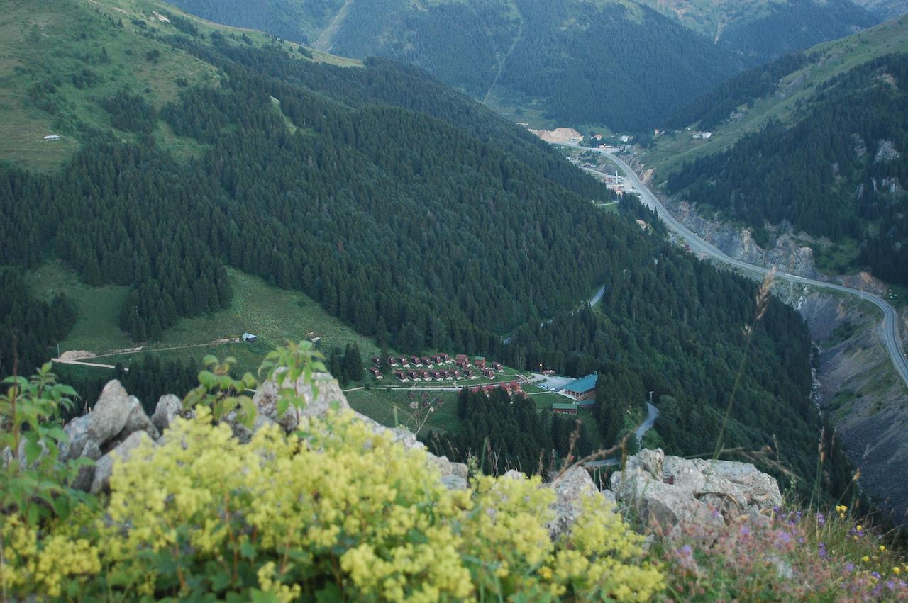 Zitas Zigana Yayla Tatil Koyu Macka Eksteriør bilde