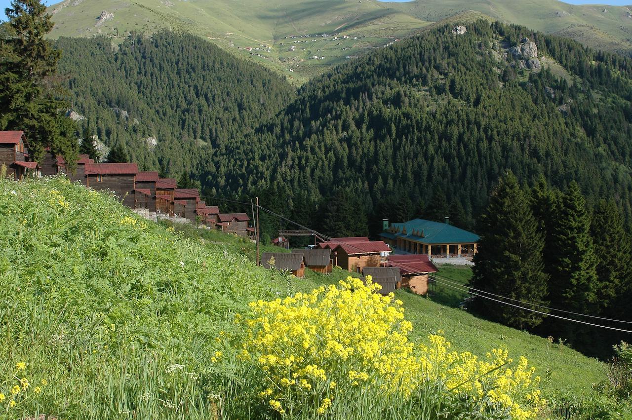 Zitas Zigana Yayla Tatil Koyu Macka Eksteriør bilde