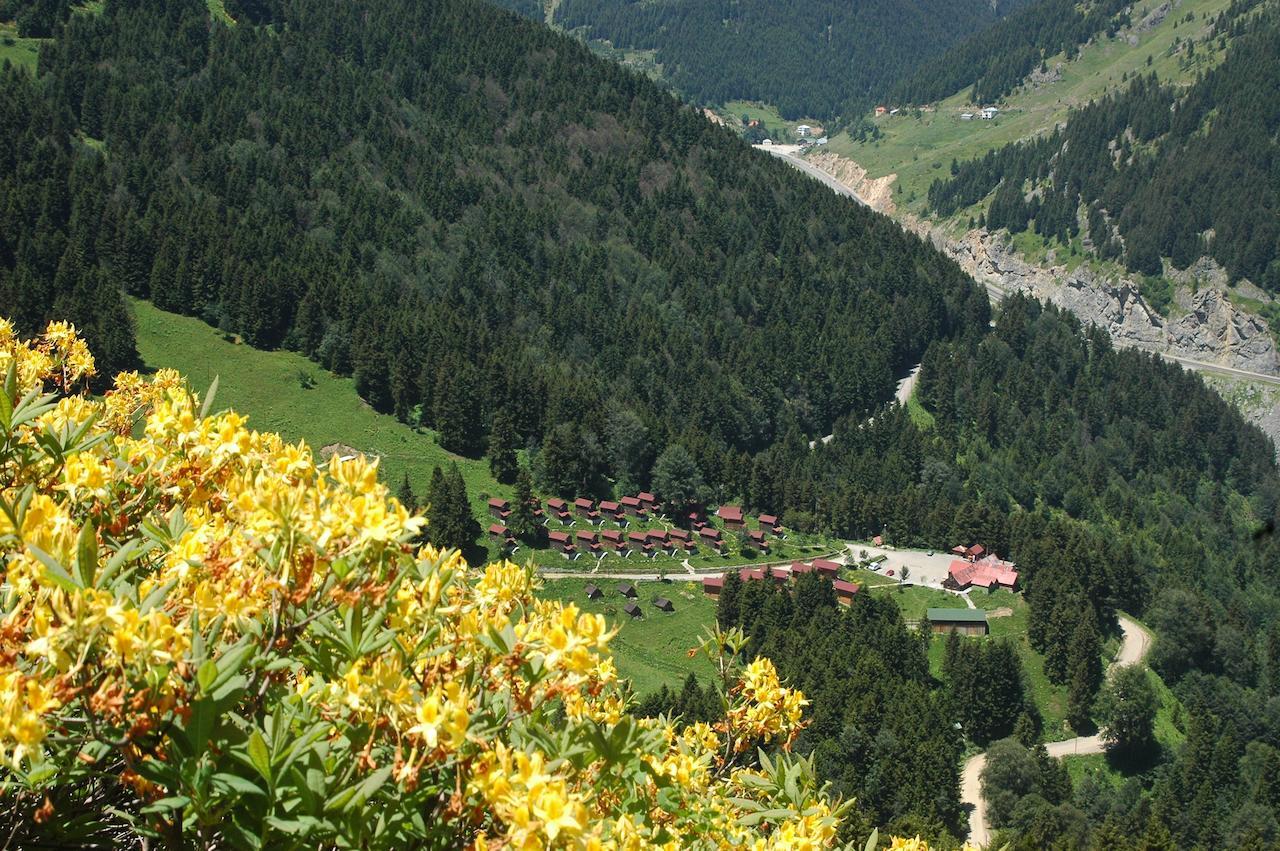 Zitas Zigana Yayla Tatil Koyu Macka Eksteriør bilde