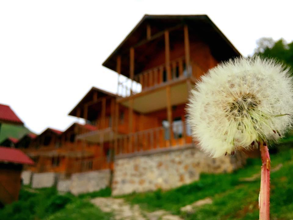 Zitas Zigana Yayla Tatil Koyu Macka Eksteriør bilde